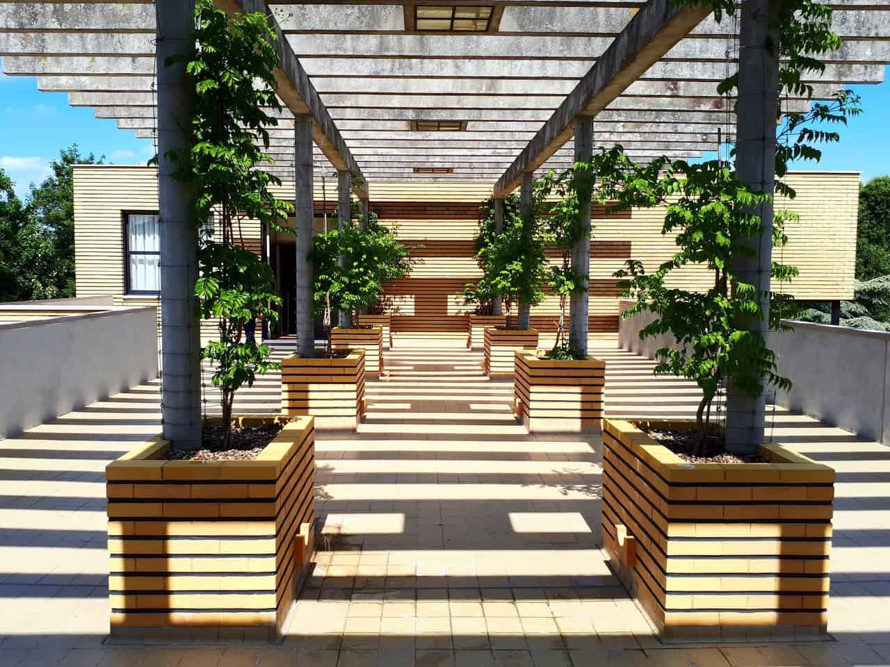Hva du trenger å vite om å bygge en terrasse